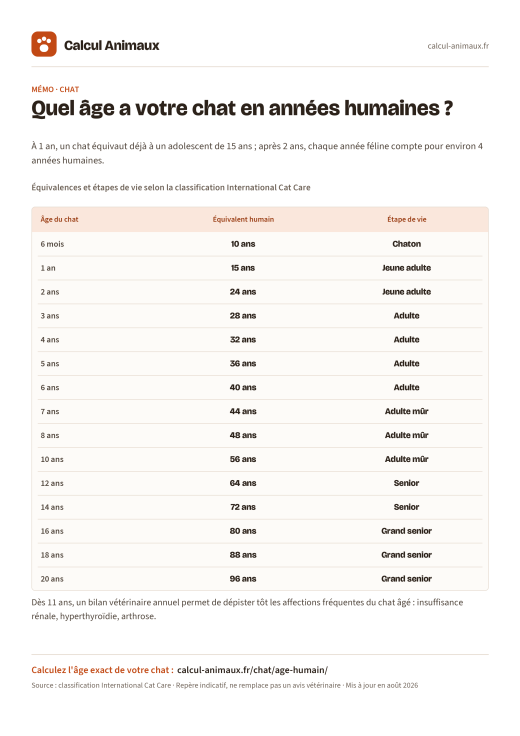 Infographie Calcul Animaux : Âge du chat en années humaines