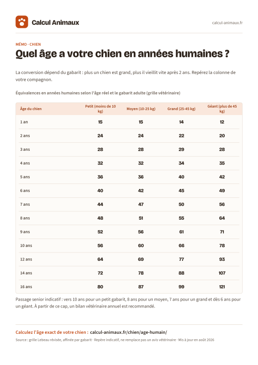 Infographie Calcul Animaux : Âge du chien en années humaines