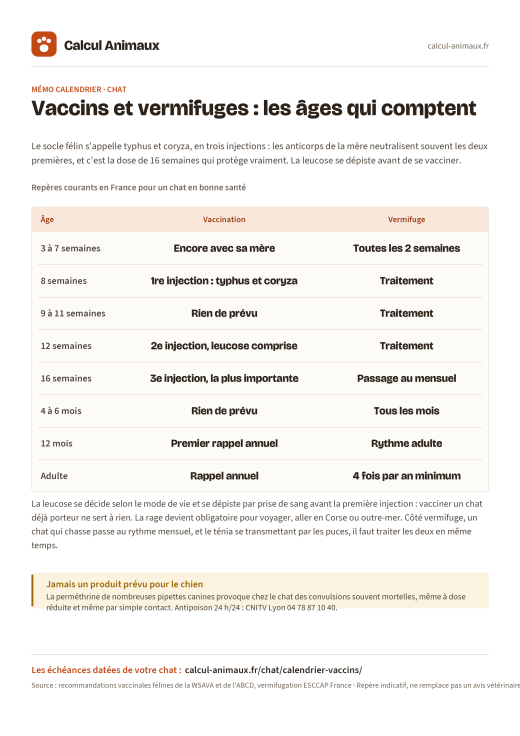 Infographie Calcul Animaux : Vaccins et vermifuges du chat