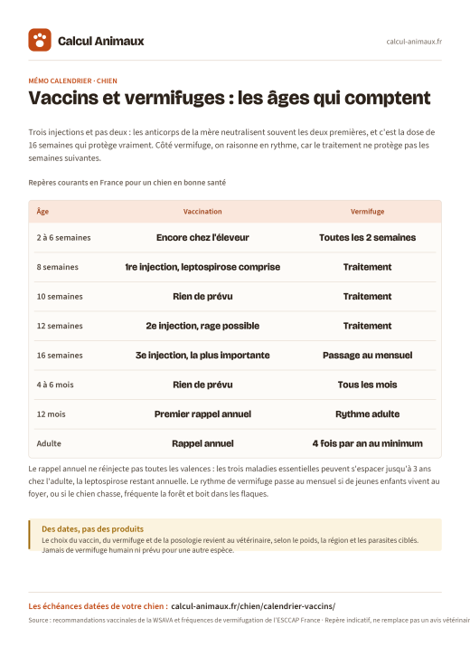 Infographie Calcul Animaux : Vaccins et vermifuges du chien
