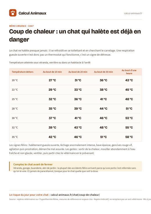Infographie Calcul Animaux : Coup de chaleur du chat