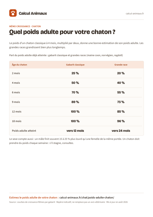 Infographie Calcul Animaux : Poids adulte du chaton