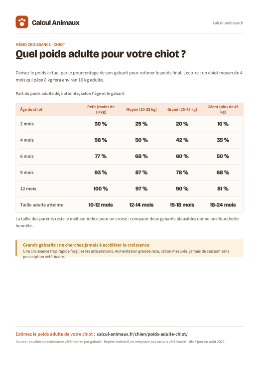 Infographie Calcul Animaux : Poids adulte du chiot