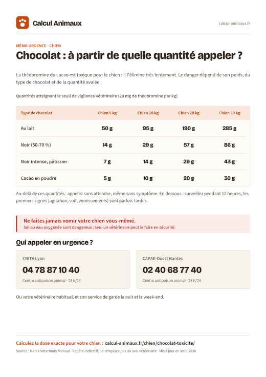 Infographie Calcul Animaux : Toxicité du chocolat