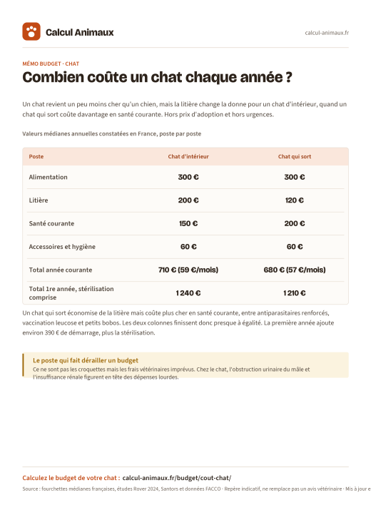 Infographie Calcul Animaux : Coût d'un chat