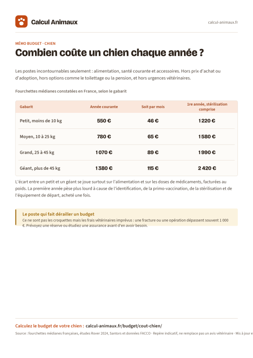 Infographie Calcul Animaux : Coût d'un chien