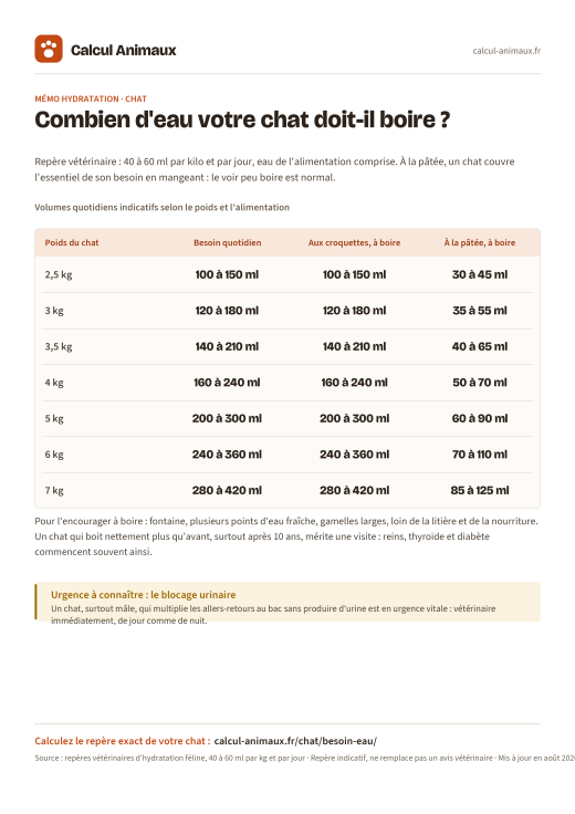 Infographie Calcul Animaux : Besoin en eau du chat