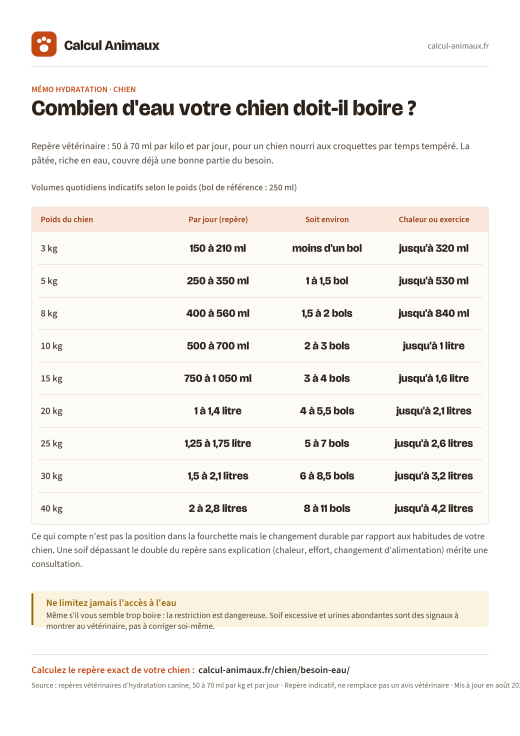 Infographie Calcul Animaux : Besoin en eau du chien