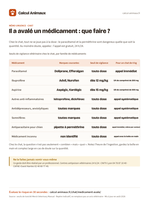Infographie Calcul Animaux : Médicament avalé par le chat