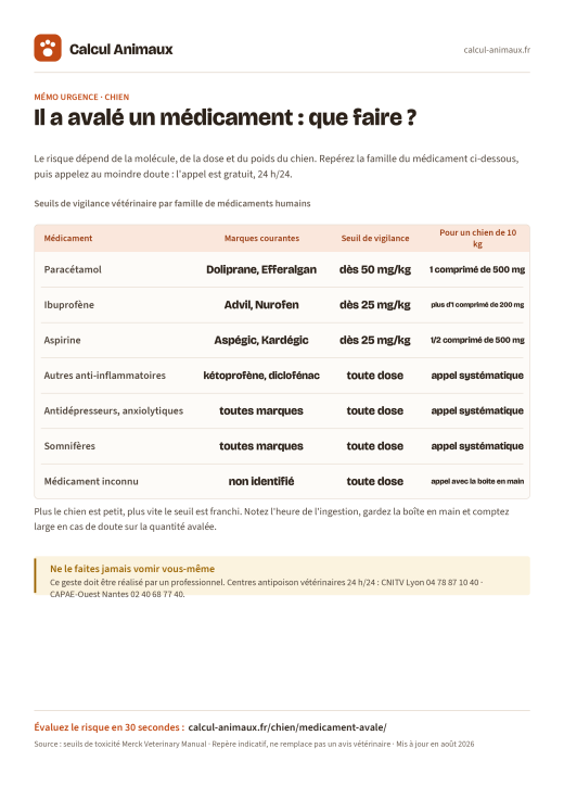 Infographie Calcul Animaux : Médicament avalé par le chien