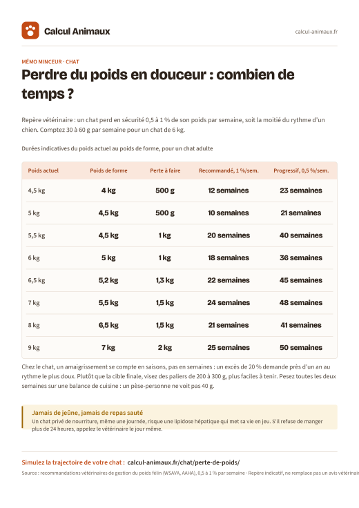 Infographie Calcul Animaux : Perte de poids du chat