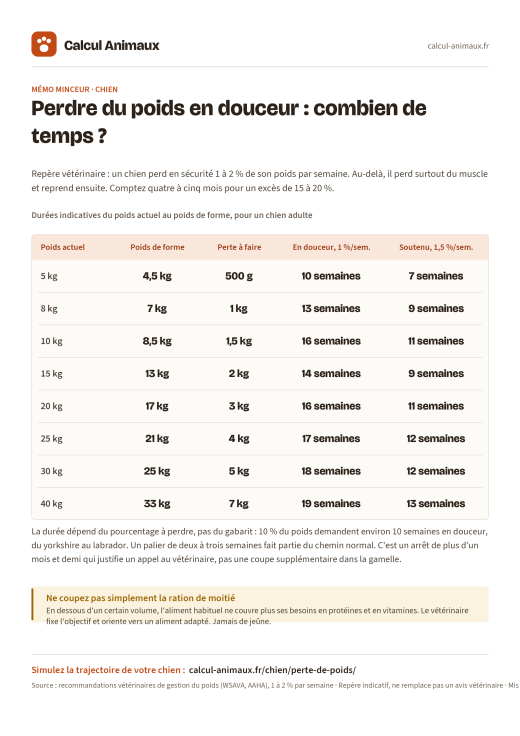 Infographie Calcul Animaux : Perte de poids du chien