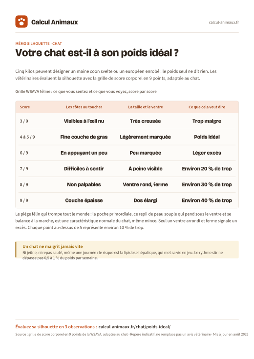 Infographie Calcul Animaux : Poids idéal du chat