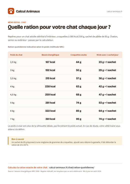 Infographie Calcul Animaux : Ration quotidienne du chat